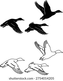 Flying duck silhouettes set, wild duck bird in flight with wings spread wildlife waterfowl vector illustration collection isolated design