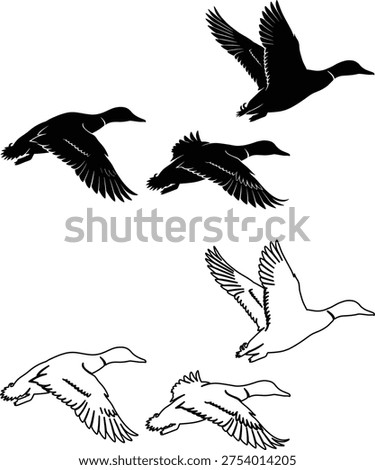 Flying duck silhouettes set, wild duck bird in flight with wings spread wildlife waterfowl vector illustration collection isolated design