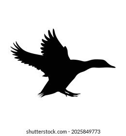 flying duck vector icon design
