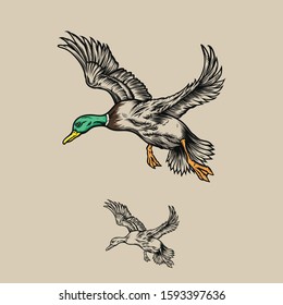 Flying Duck Vector Illustration Logo