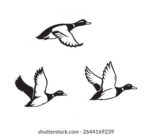 flying duck vector illustration, three flying duck silhouette graphic art