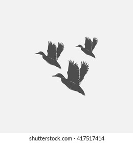 flying ducks in grayscale