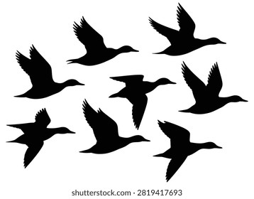 Flying Ducks Silhouette Against White Background Black Vector Illustration