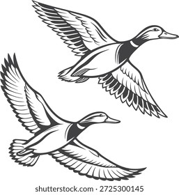 Ilustración vectorial de patos voladores en estilo de arte de línea en blanco y negro. Pájaro salvaje en vuelo, naturaleza y obra de arte de la vida silvestre, boceto dibujado a mano detallado aislado en el fondo blanco.
