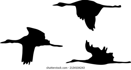 Flying Ducks Vector Ducks White Background Stock Vector (royalty Free 