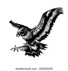 flying eagle