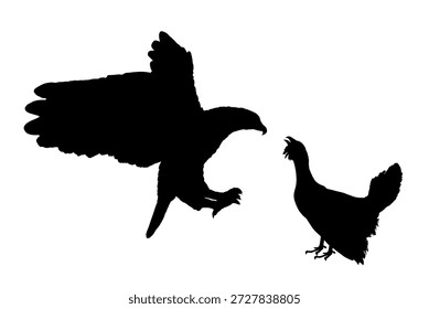 Fliegender Adler Angriff Wald männlichen Vektor Silhouette Illustration einzeln. Wildgeflügel. Schwarzer Schwanz oder Heideschwanz. Raubvogeladler jagen und jagen Beute. Verbreiten Flügel kahlen Adler Falken Form Schatten. 