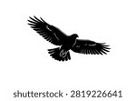Flying Eagle Bird Black Silhouette Vector Illustration Isolated on White Background