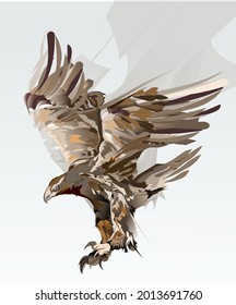 Flying eagle bird of prey vector illustration