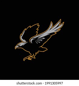 flying eagle cool illustration image