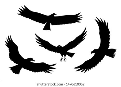 Fliegender Adler, Falken und Falken schwarze Seidenvogel Set. Vektorvogelräuber in fliegenden Posen für Symbole oder Design. Wildtier als Zeichen von Macht und Freiheit