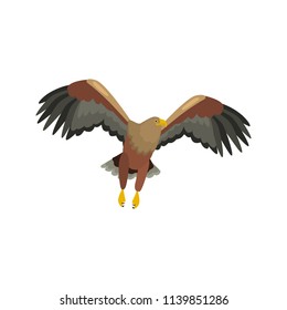 Flying eagle high quality color icon