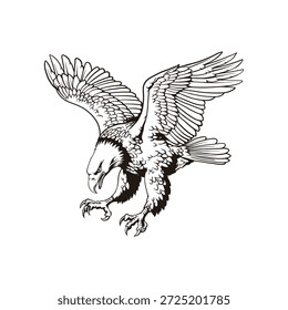 Flying Eagle Illustration com Espalhar Asas, Preto e Branco Linha Arte Pássaro de rapina