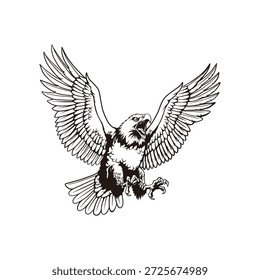 Flying Eagle Illustration com Espalhar Asas, Preto e Branco Linha Arte Pássaro de rapina
