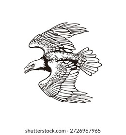 Flying Eagle Illustration com Espalhar Asas, Preto e Branco Linha Arte Pássaro de rapina