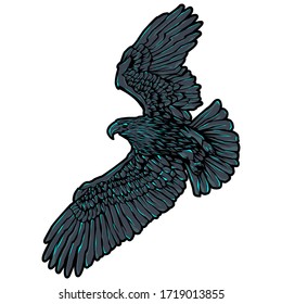 Flying eagle illustration vector logo design