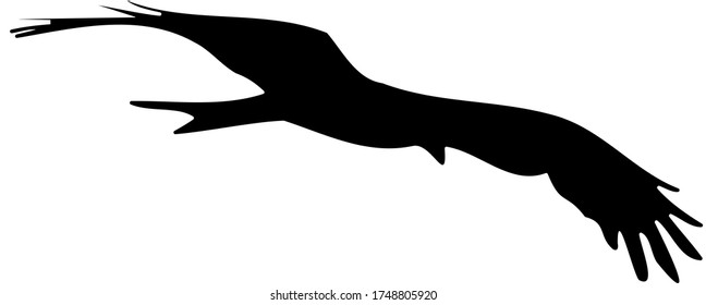 Flying Eagle Logo in Black Color