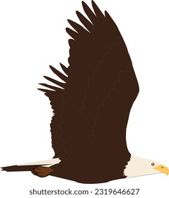 flying eagle mascot Eagle emblem isolated on white illustration. American eagle. Bird symbol of freedom and independence.