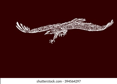 Flying eagle on a black-red background. Hand  sketch.