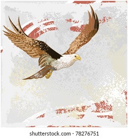 Flying eagle on a grunge background