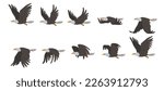 Flying Eagle. A set of frames for 2-d animation. Cycle of the bird
