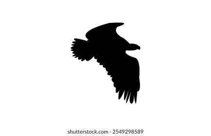 Flying Eagle Silhouette Design  And Vector Illustration. 