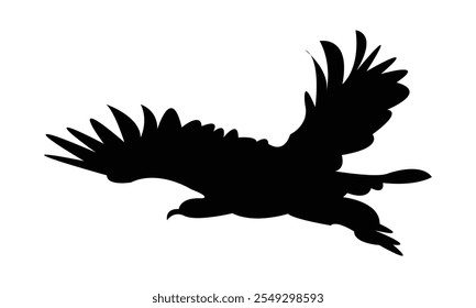 Flying Eagle Silhouette Design  And Vector Illustration. 