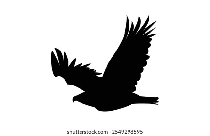 Flying Eagle Silhouette Design  And Vector Illustration. 