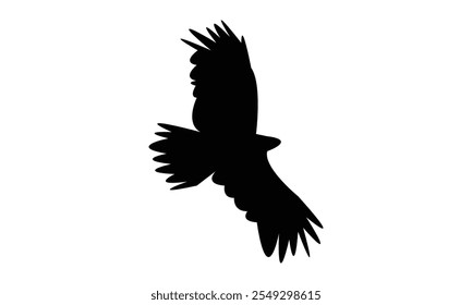 Flying Eagle Silhouette Design  And Vector Illustration. 