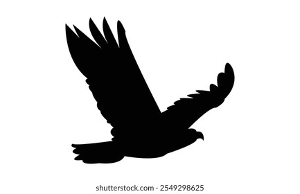 Flying Eagle Silhouette Design  And Vector Illustration. 