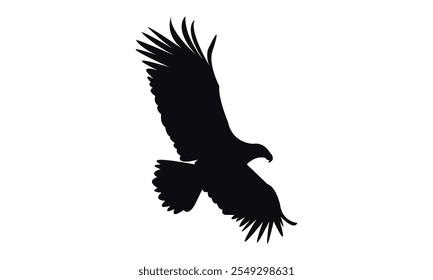 Flying Eagle Silhouette Design  And Vector Illustration. 