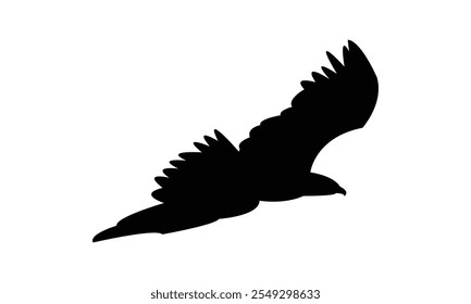 Flying Eagle Silhouette Design  And Vector Illustration. 