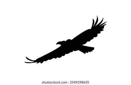 Flying Eagle Silhouette Design  And Vector Illustration. 