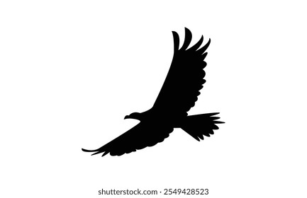 Flying Eagle Silhouette Design  And Vector Illustration. 