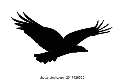 Flying Eagle Silhouette Design  And Vector Illustration. 