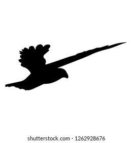 Flying eagle silhouette isolated on white. Eps 10.