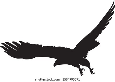 Flying eagle silhouette isolated on white background
