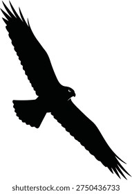 Flying eagle silhouette isolated on white background. Vector illustration of a majestic hawk or falcon in flight, bird of prey wing span profile.