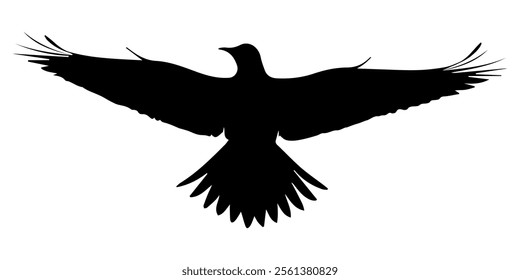 Flying eagle silhouette, isolated vector illustration on a white or transparent background