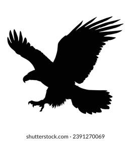 Flying Eagle Silhouette on White Background.