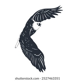 flying eagle silhouette on white background, vector