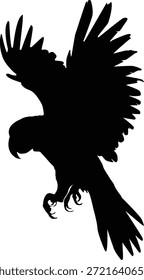 Silueta de águila voladora que representa la libertad, el enfoque y la fuerza.