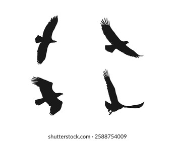 Flying Eagle Silhouette set. Falcon or hawk carnivore avian animal flight up vector illustration. Silhouette of a bird of prey. Minimal design, minimalist logo vector. vector on a white background.