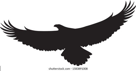 flying eagle silhouette spread the wings