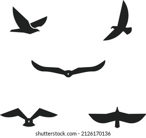 Flying eagle silhouette vector in minimal, simple style