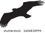 Flying eagle silhouette vector on white background