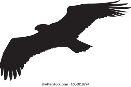 Flying eagle silhouette vector on white background