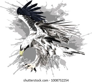 Flying Eagle. Stylized Vector Illustration