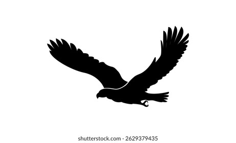 flying eagle symbol, black isolated silhouette 