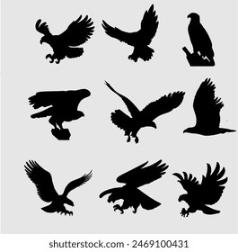 Flying Eagle Vector Art, Icons, and Graphics 